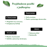 weganska lista posilkow